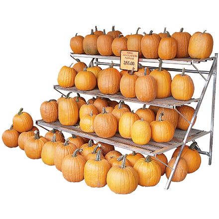 Outdoor Bench with Pumpkins for Front-of-Store by Carlson AirFlo Merchandising Systems